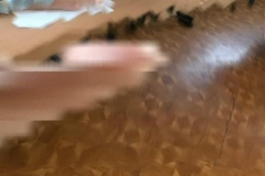 73322132_751064552021269_4089997515171037184_n