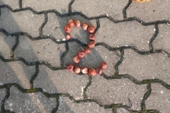 74607689_763292987465092_1305925982200266752_n